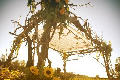 Wedding arch