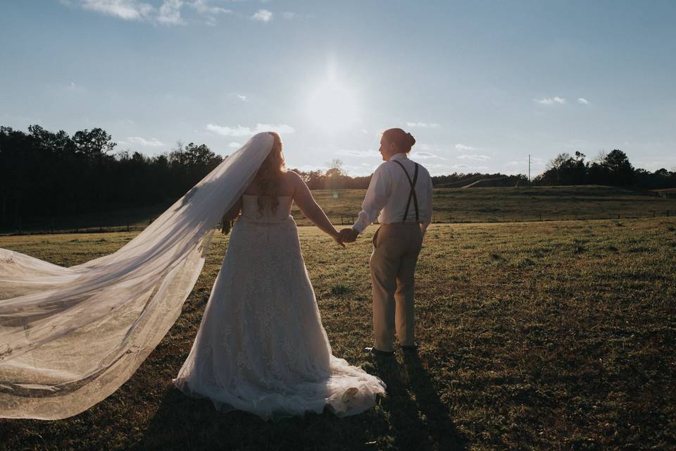 Stephen Payne Photography