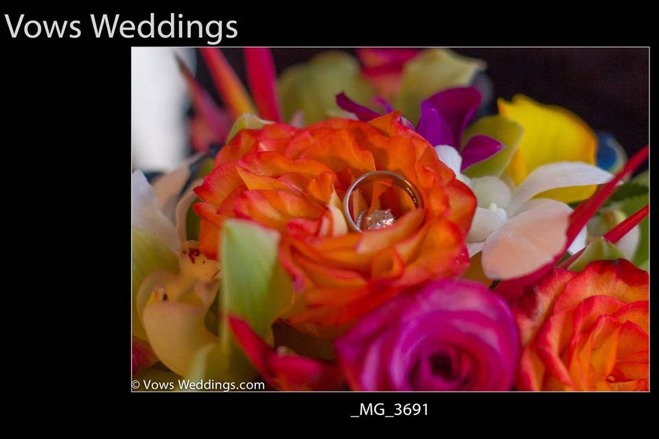 Vows Weddings & Events Planner