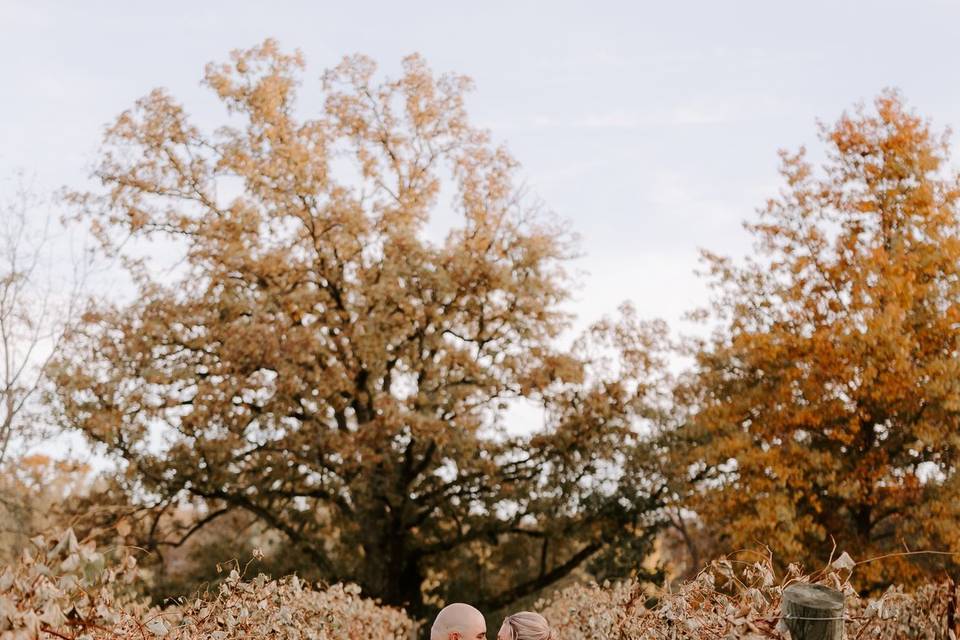 Amanda Ketterhagen Photography