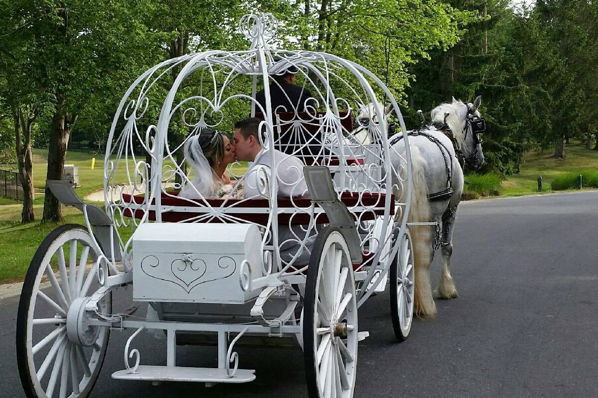 Dream Horse Carriage Company - Transportation - Jackson, NJ - WeddingWire