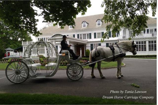 Dream Horse Carriage Company - Transportation - Jackson, NJ - WeddingWire