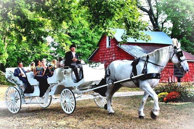 Dream Horse Carriage Company - Transportation - Jackson, NJ - WeddingWire