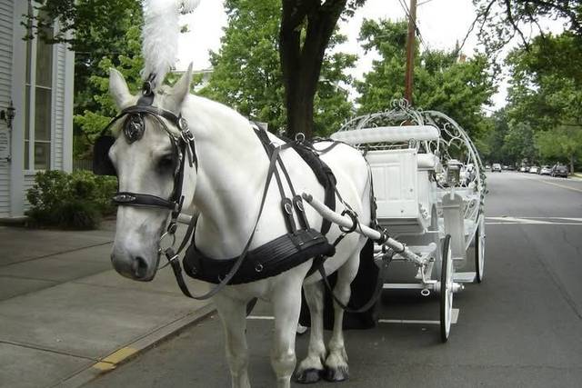 Wedding in Cranbury NJ