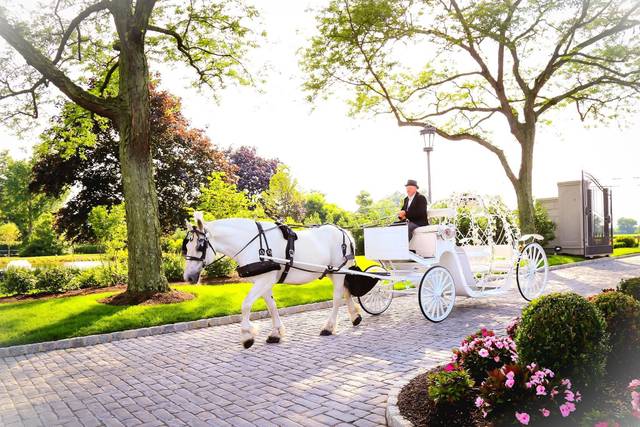 Park Chateau Wedding