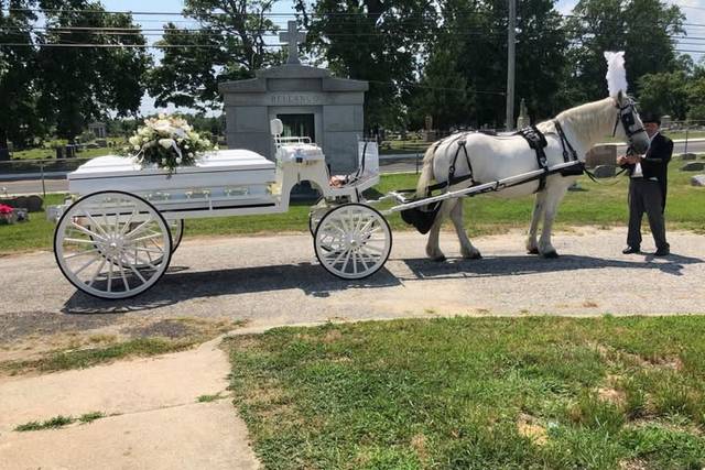 Horse Drawn Caisson