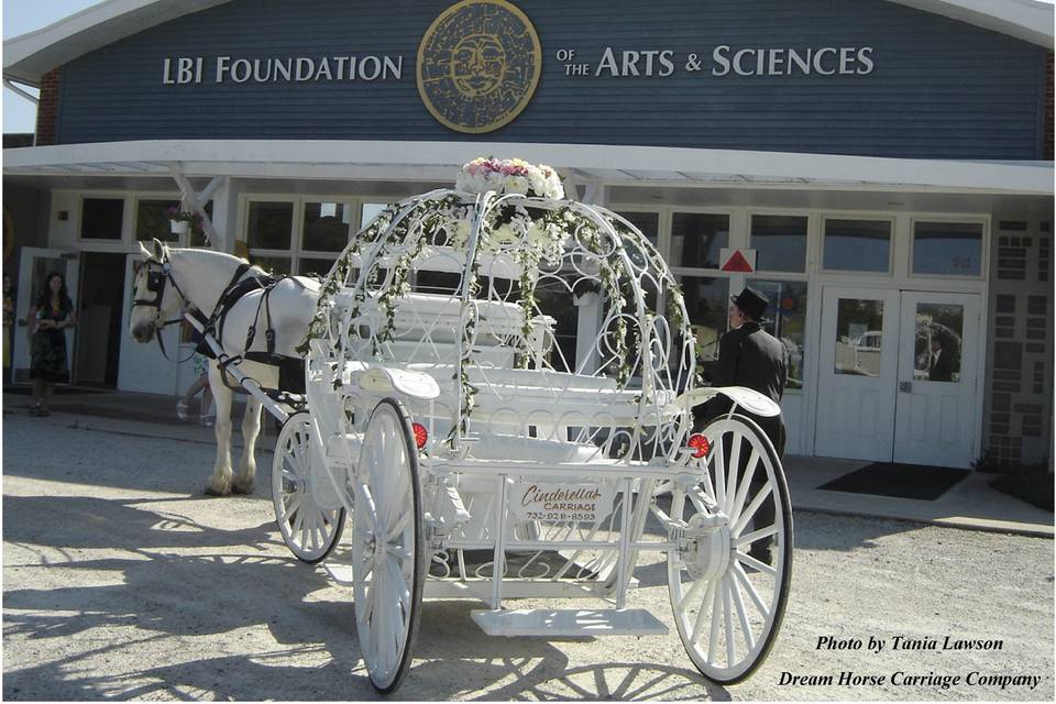 Horse Drawn Carriage Rides - Harbor View Hotel