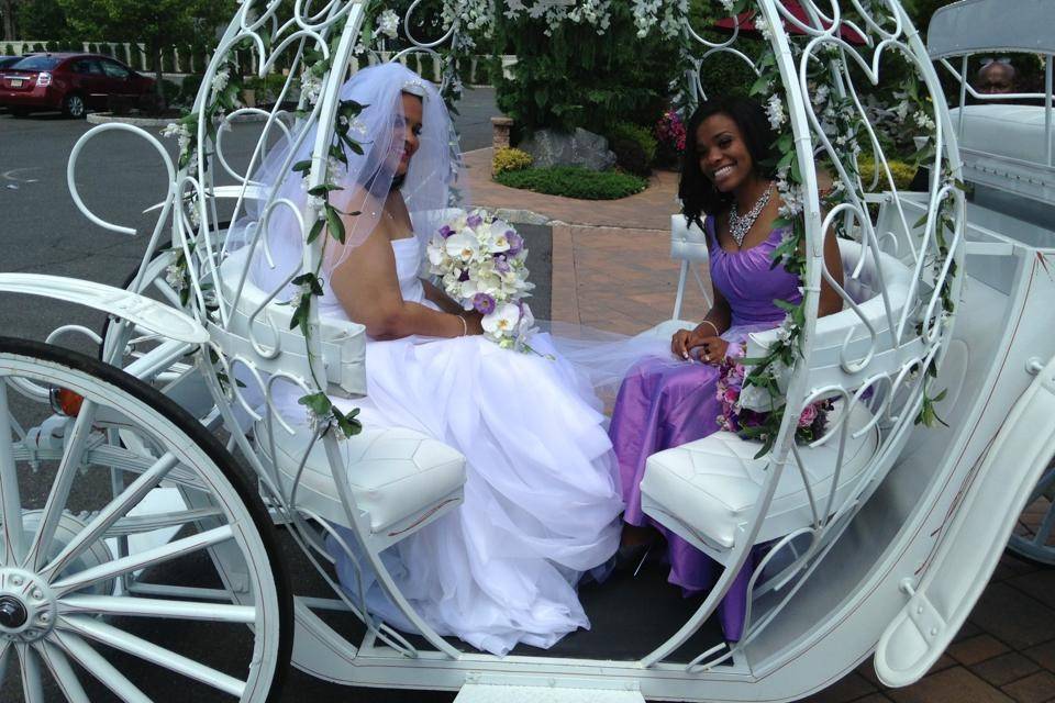 Fanizzi wedding portrait in our Cinderella Pumpkin Carriage