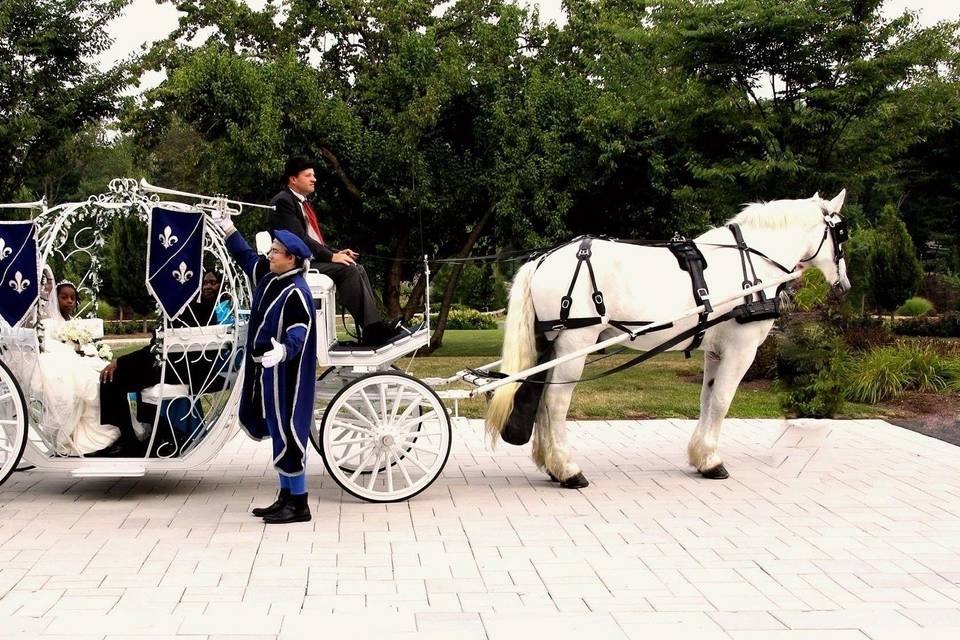 Cinderella Carriage at The Palace at Somerset Park with FanFare Brass announcing the bride Sue Ann Wynter