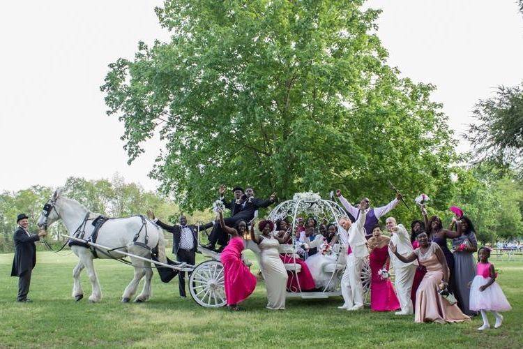 White Wedding Carriage