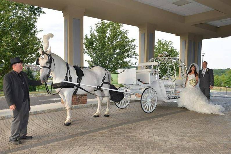 Dream Horse Carriage Company