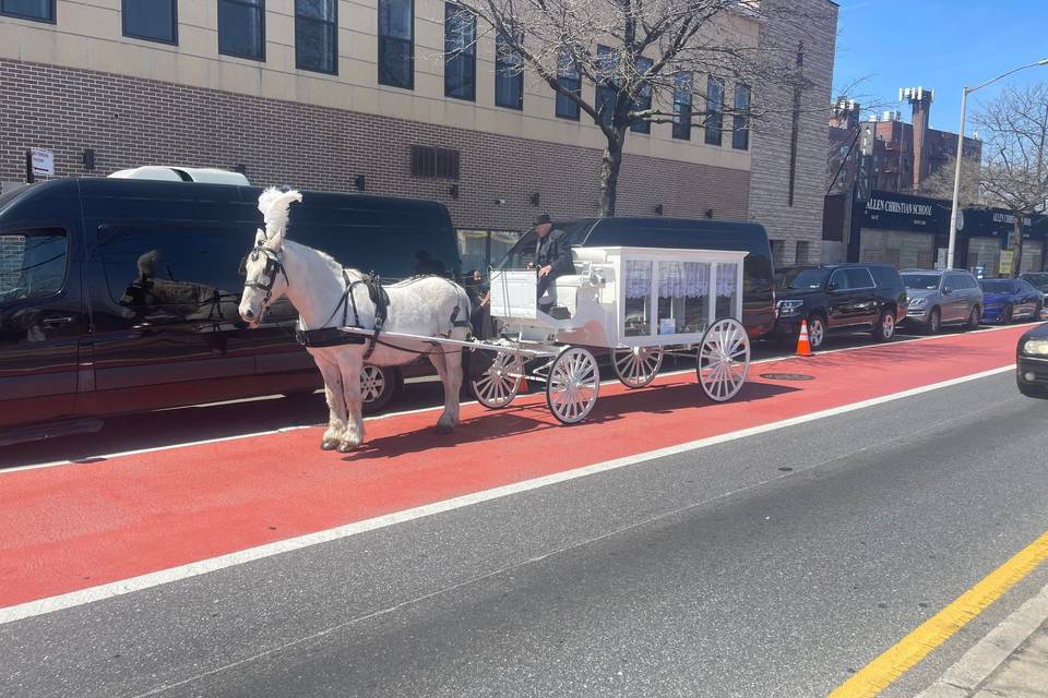 White Funeral Carriage NJ