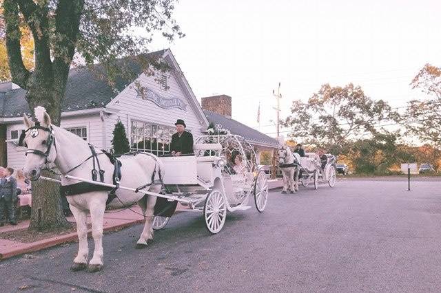 Dream Horse Carriage Company