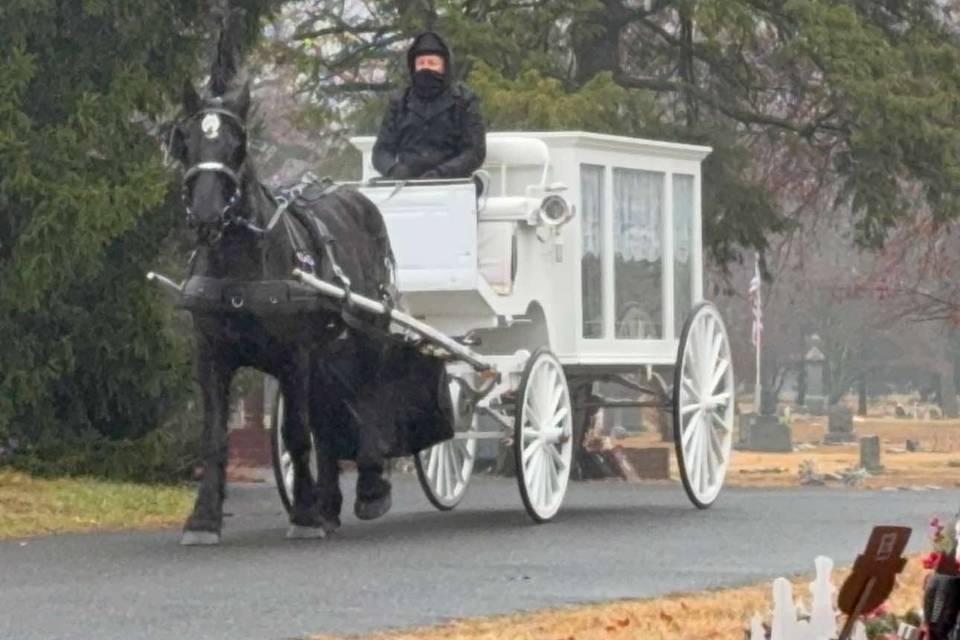 Funeral Carriage Camden