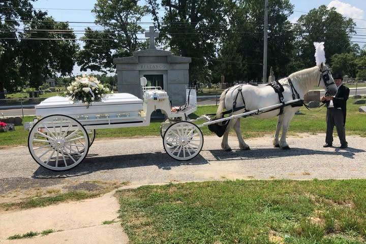 Horse Drawn Caisson
