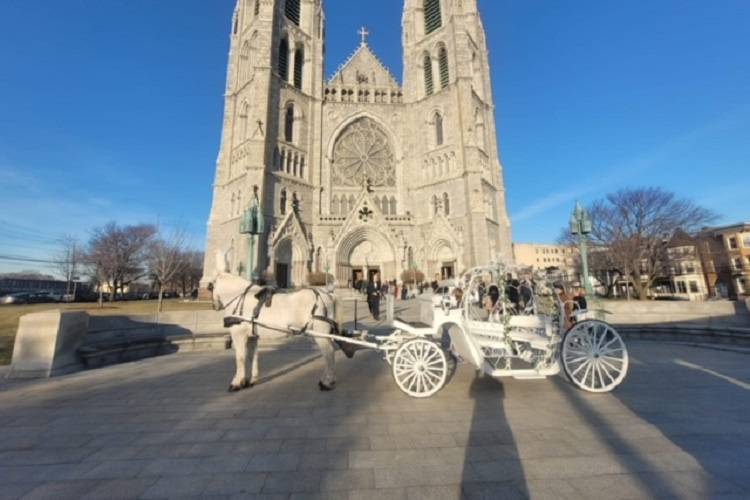 NJ White Funeral Carriage