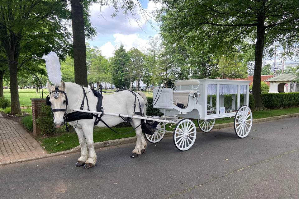 White Funeral Carriage NJ