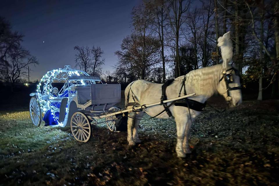 Cinderella at Night