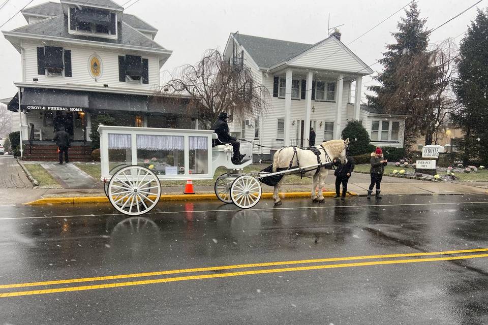 Vintage Carriage