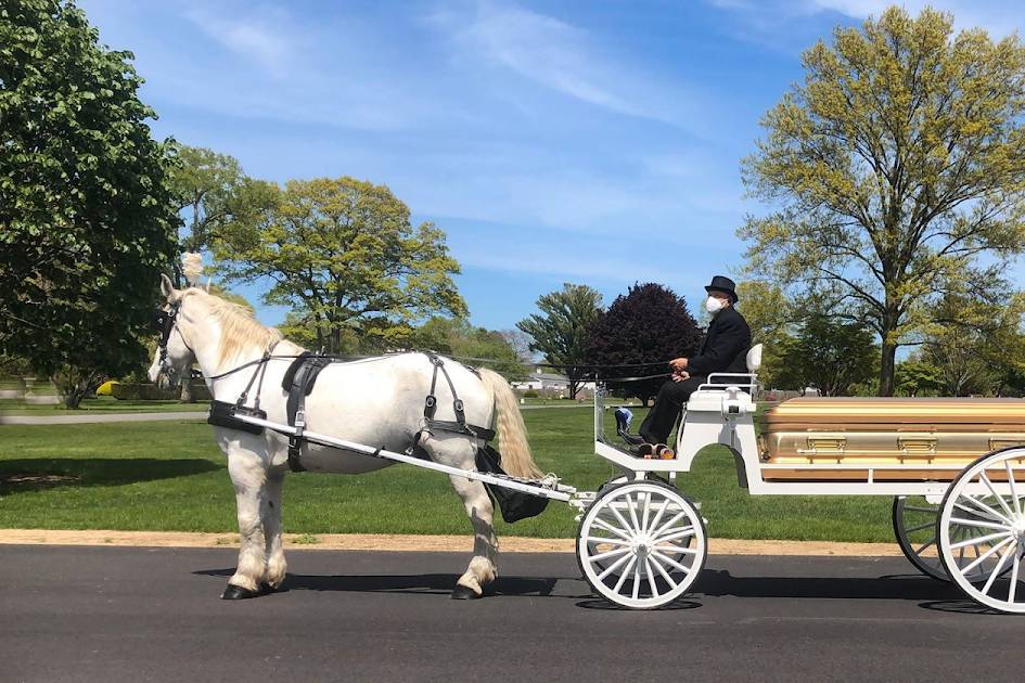 Caisson at Funeral