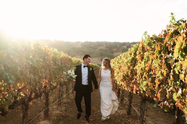 In the Vineyards