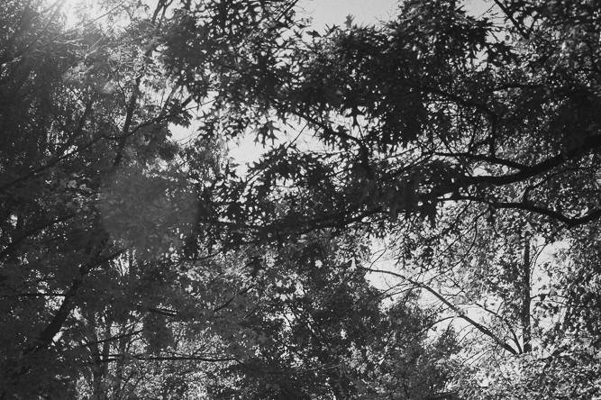 Raquel Dennett Photography