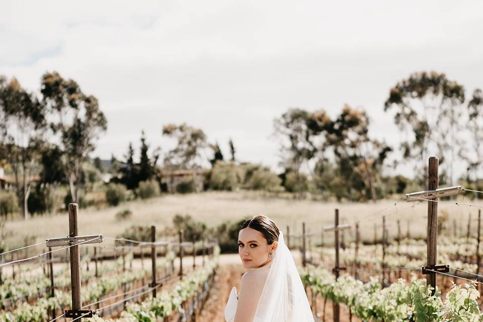 Ensenada Wedding