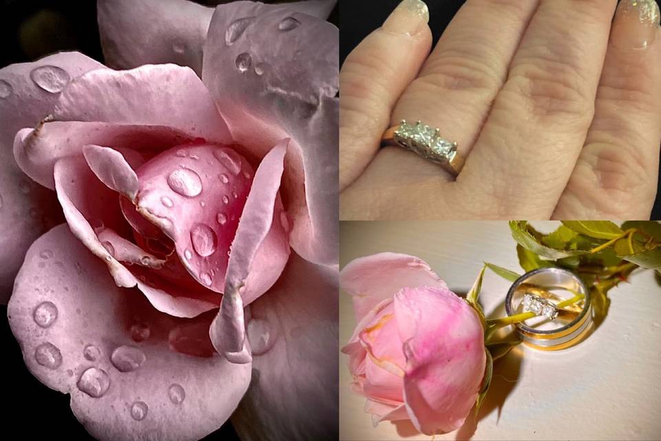 Wedding Rings & Roses