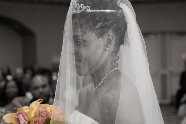 Royale Imagery by Cathy Photography & Videography