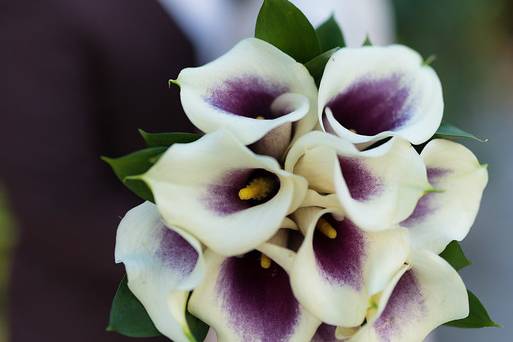 City Hall Wedding Photography