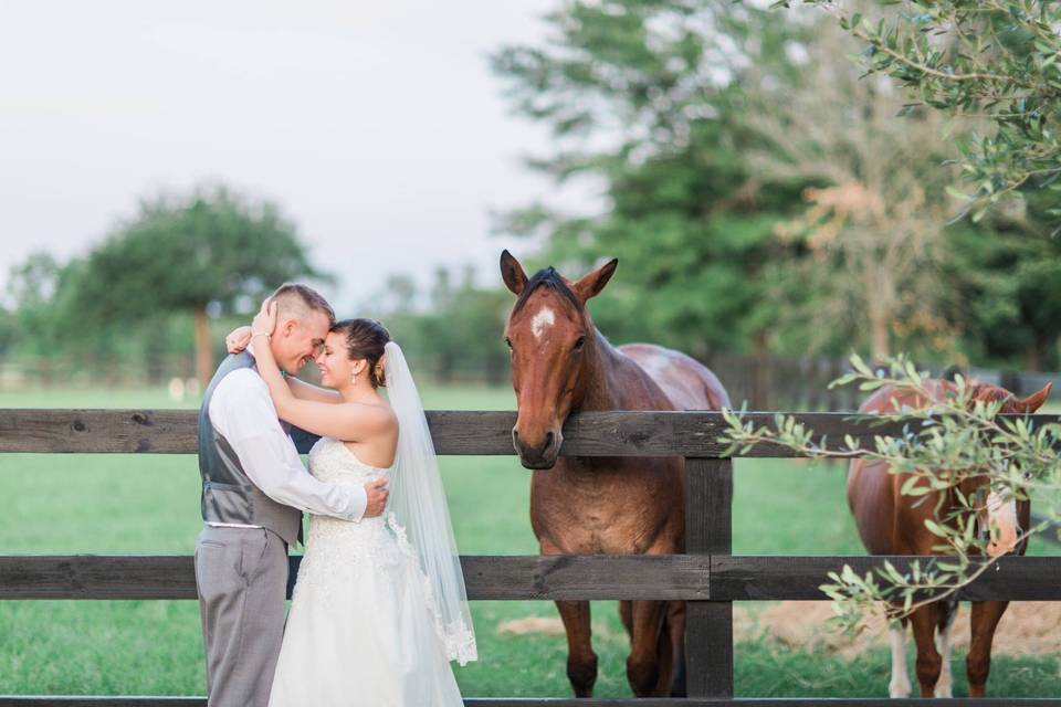 Horse loving