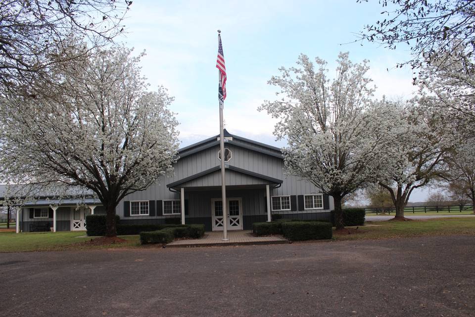 Back pavilion