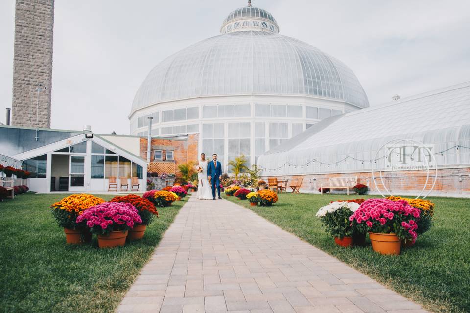 First Look - Dome