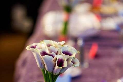 White bouquet