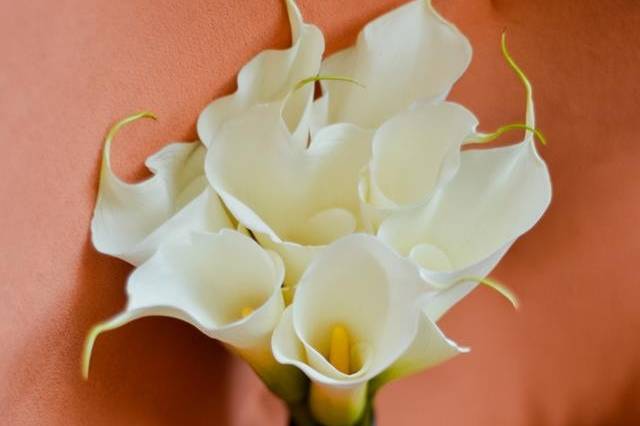 White bouquet