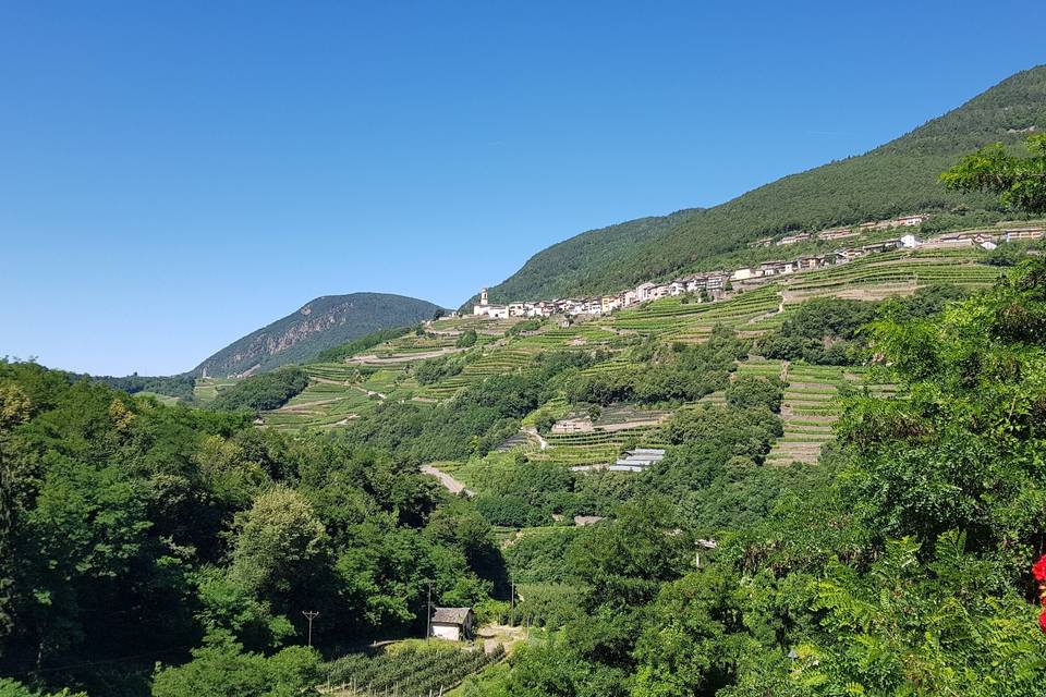 Valley terraced landscapes