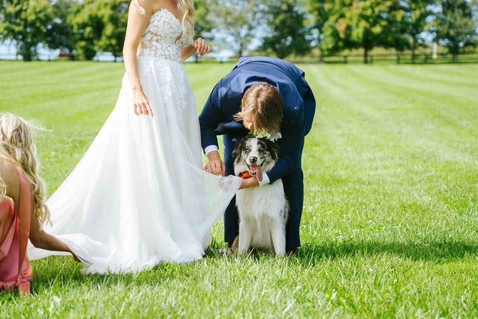 Bride, groom, and pup - Ben Lausch Photography