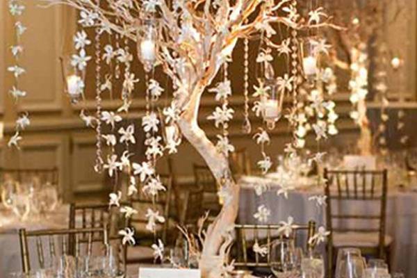 Dress Rehearsal Events & Rentals