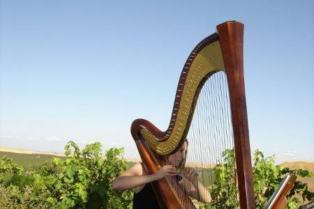 Lauren C. Sharkey, Harpist