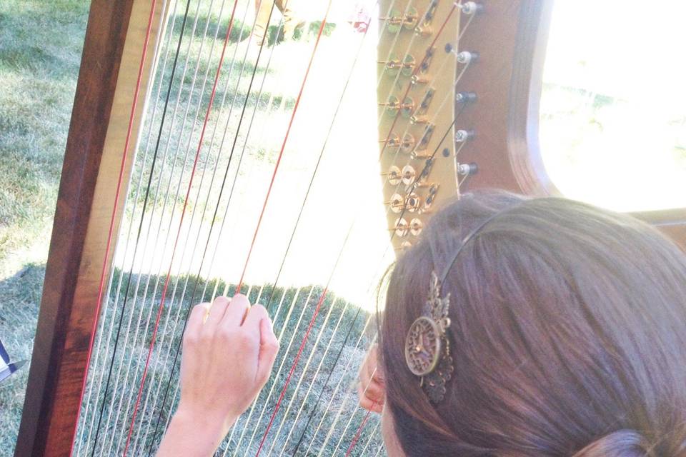 Lauren C. Sharkey, Harpist