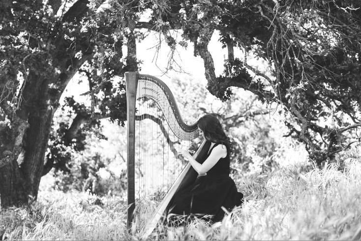 Lauren C. Sharkey, Harpist