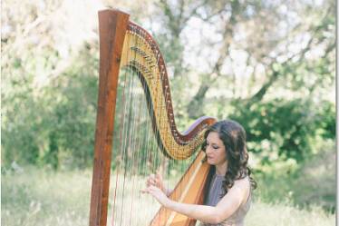 Lauren C. Sharkey, Harpist