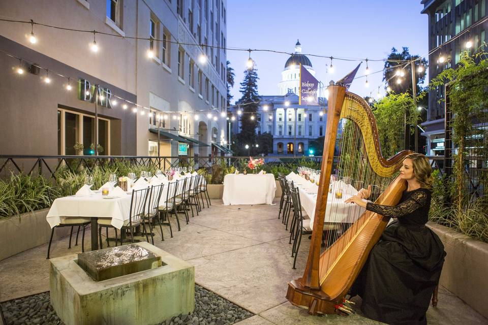 Lauren C. Sharkey, Harpist