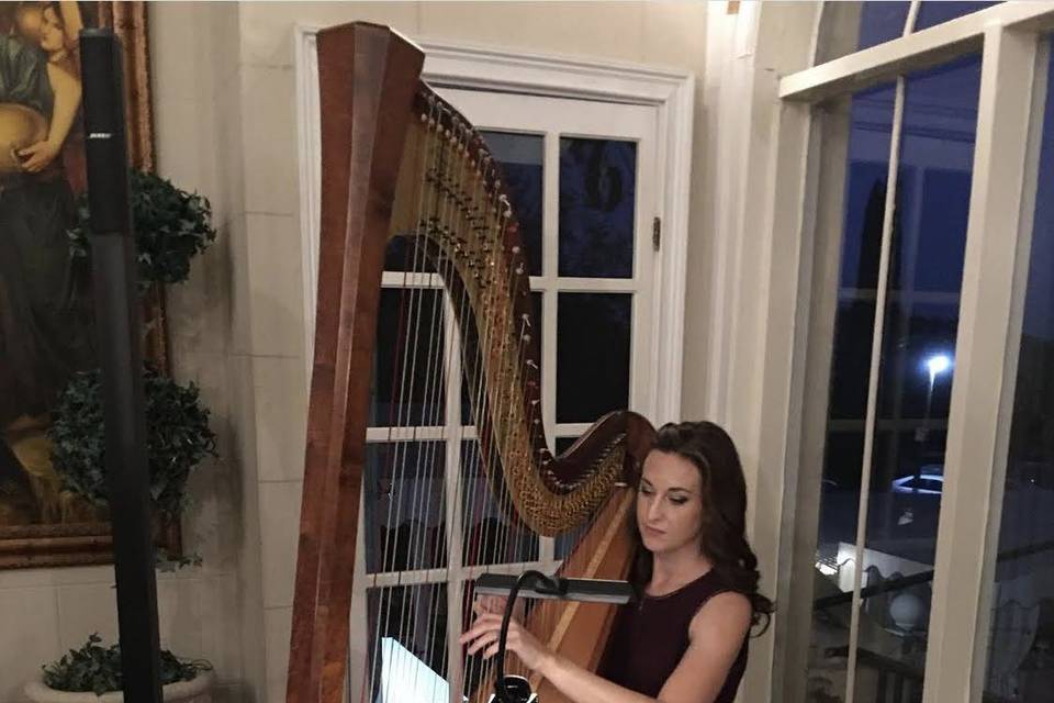 Lauren C. Sharkey, Harpist