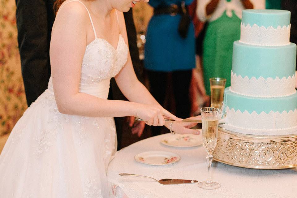 Micah and Micheal cutting the cake (confectionto perfectioncakes) at the gorgeous Whitlock inn in Marietta.
Plates by vintageenglishteacup.com