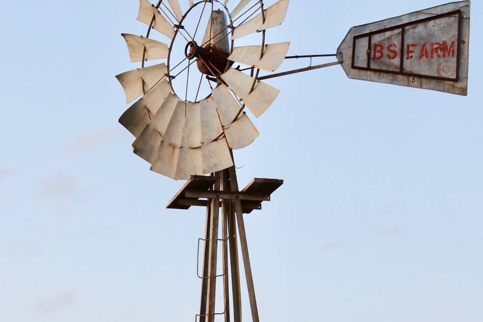 Windmill