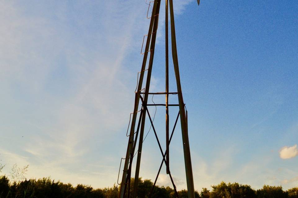 Windmill at rustic rose