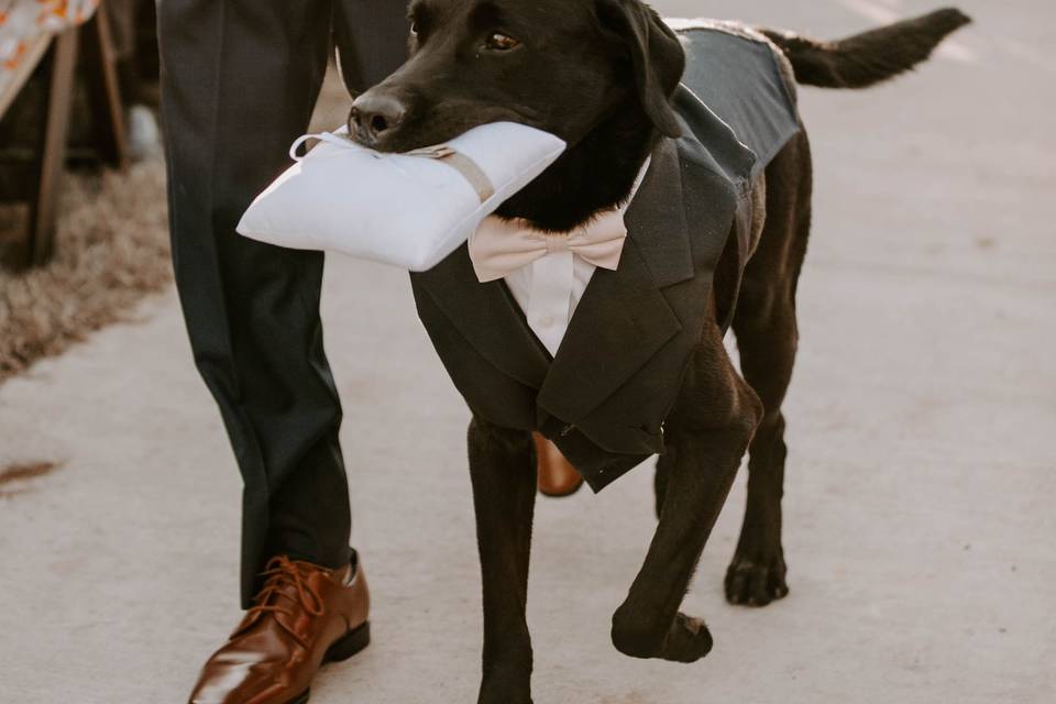 Dream ring bearer