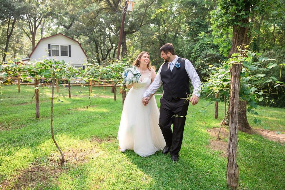 Bride in Vineyard