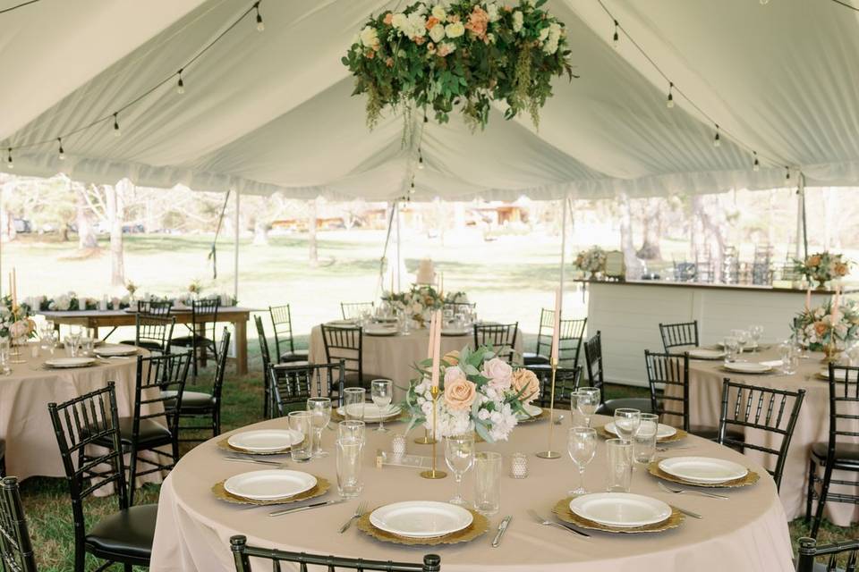 Underneath tented reception